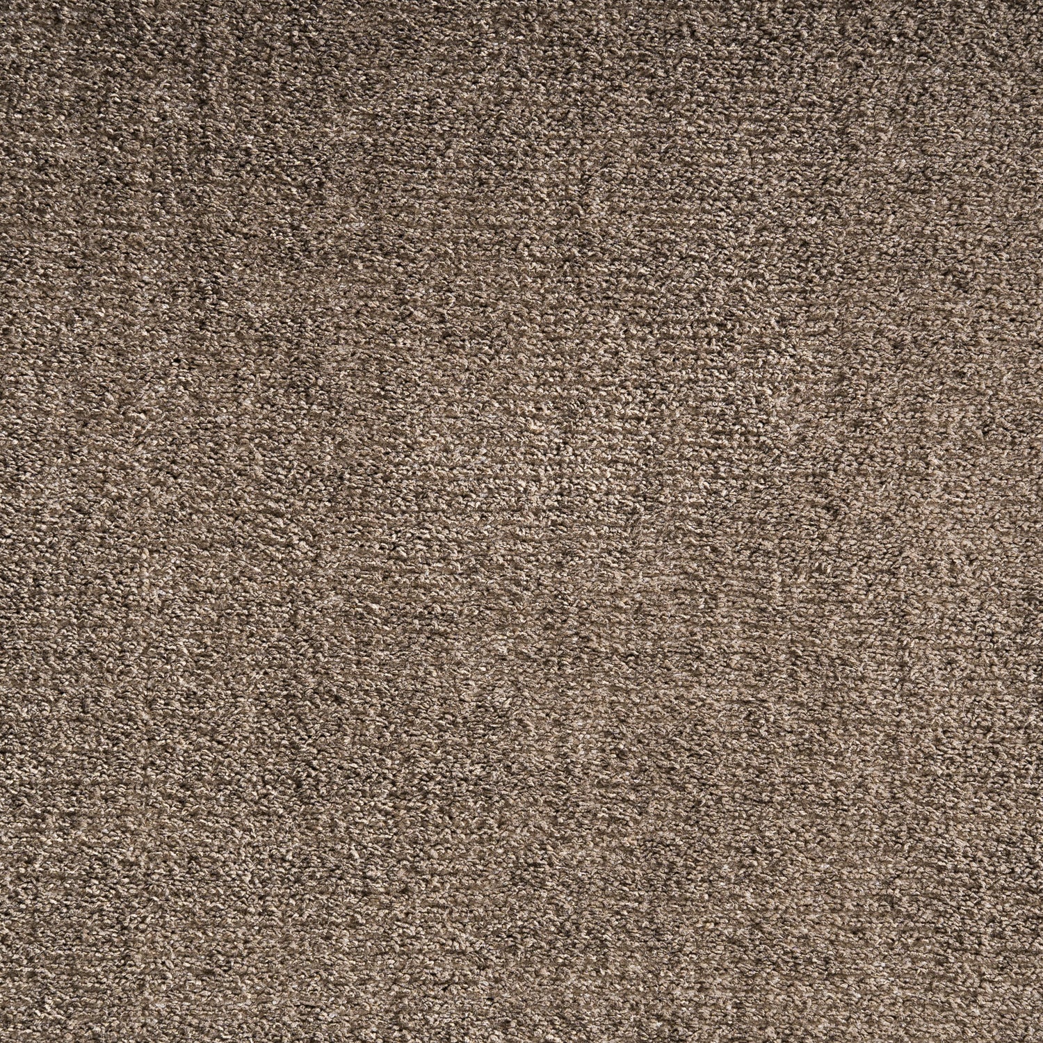 Clea Vloerkleed Klassiek Bruin 340x240x1 cm