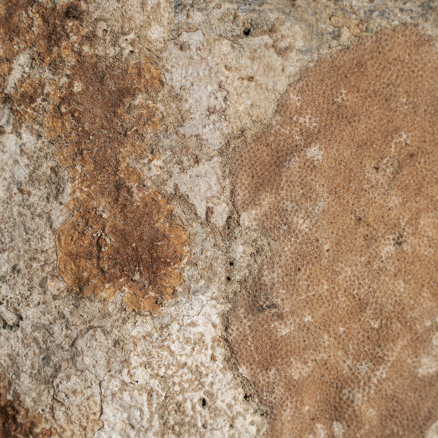 Chedma Decoratief Beeld 20x7x28 cm