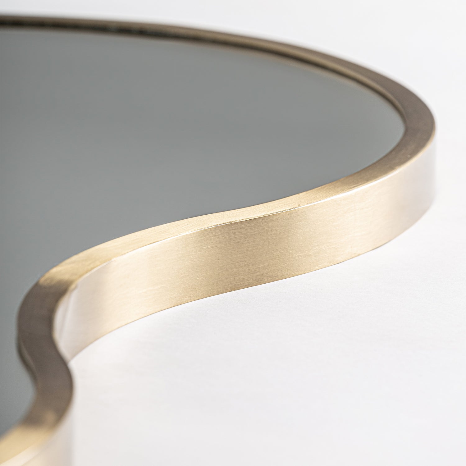 Rinhe Spiegel 60x3x109 cm
