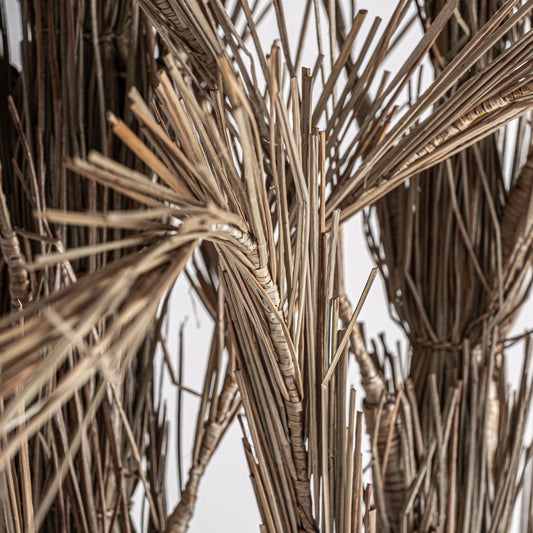 Areca Plant Boho 100x100x250 cm