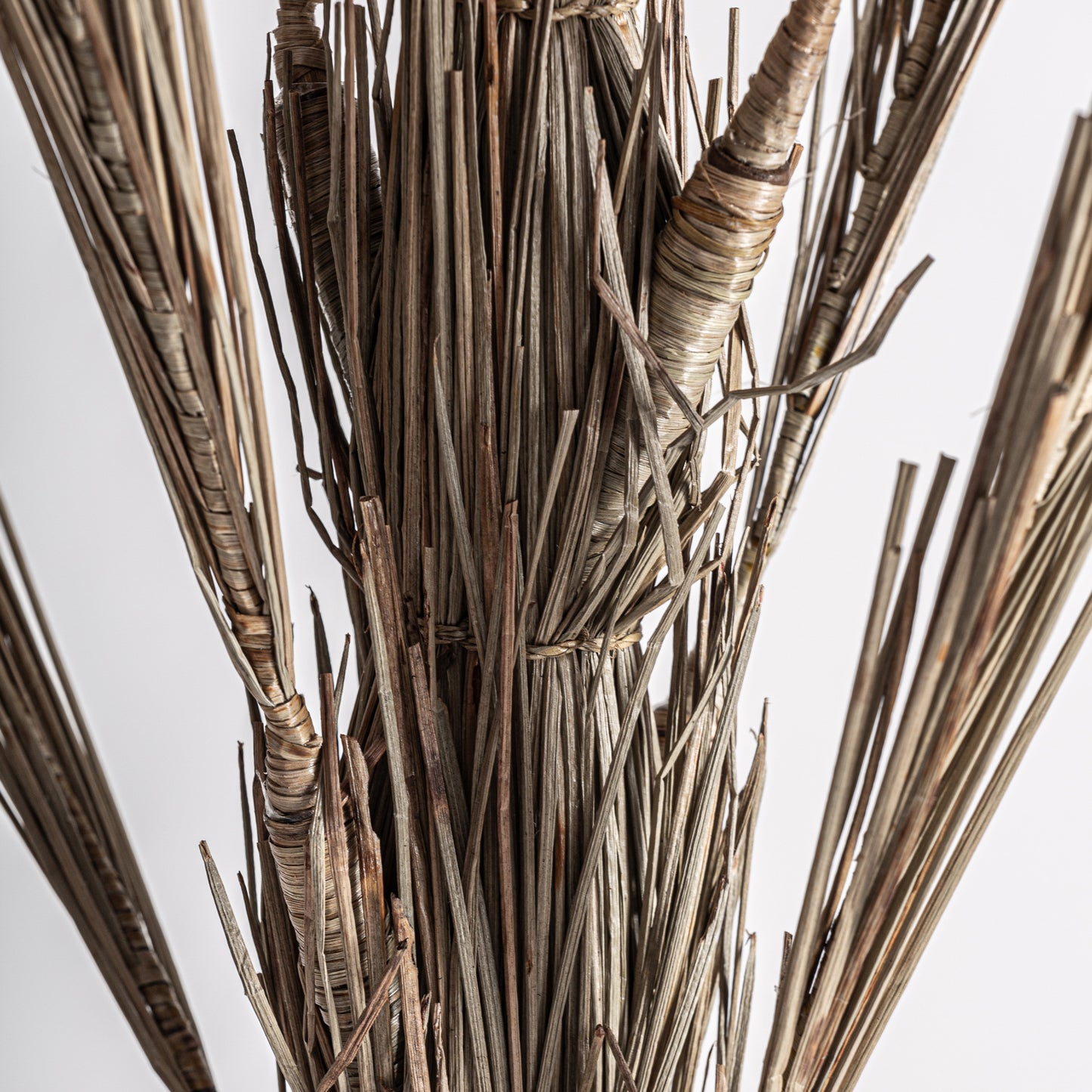 Areca Plant Boho 100x100x250 cm