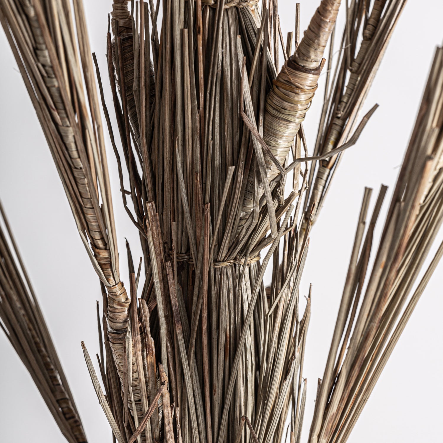 Areca Plant Boho 100x100x250 cm
