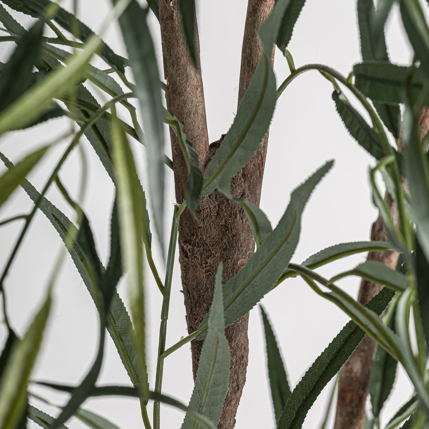 Sauce Plant 120x120x220 cm