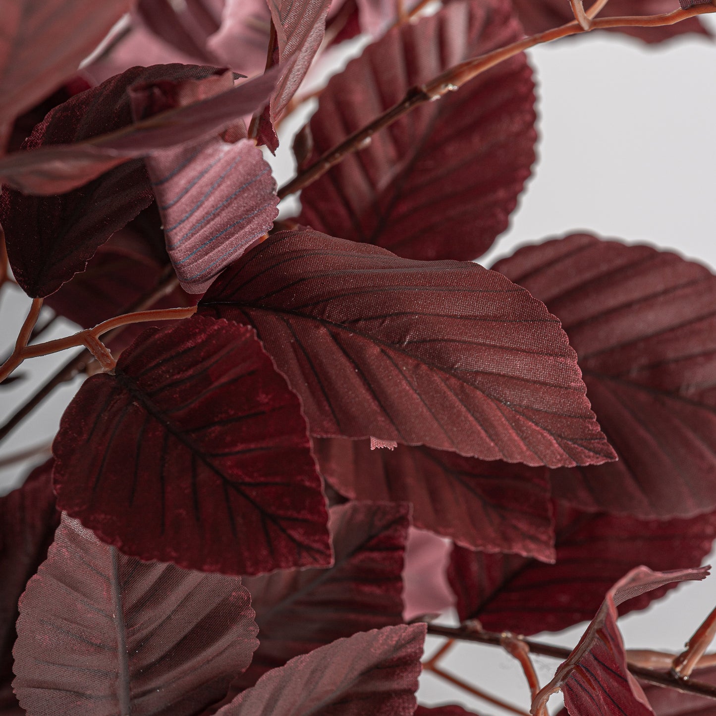 Haya Plant Klassiek 70x70x148 cm