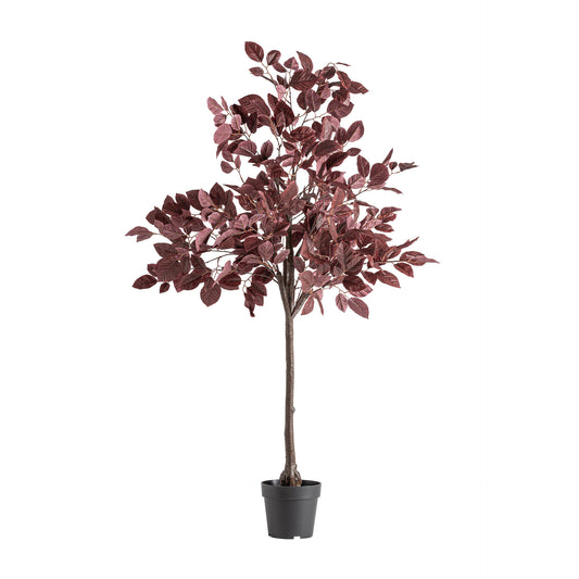 Haya Plant Klassiek 70x70x148 cm