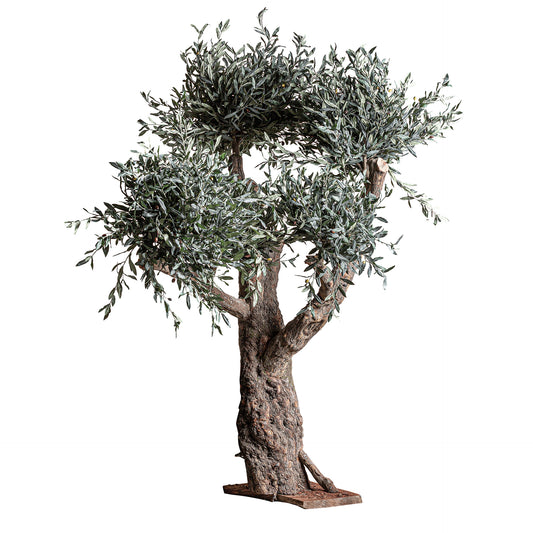 Olivo Plant 120x120x240 cm