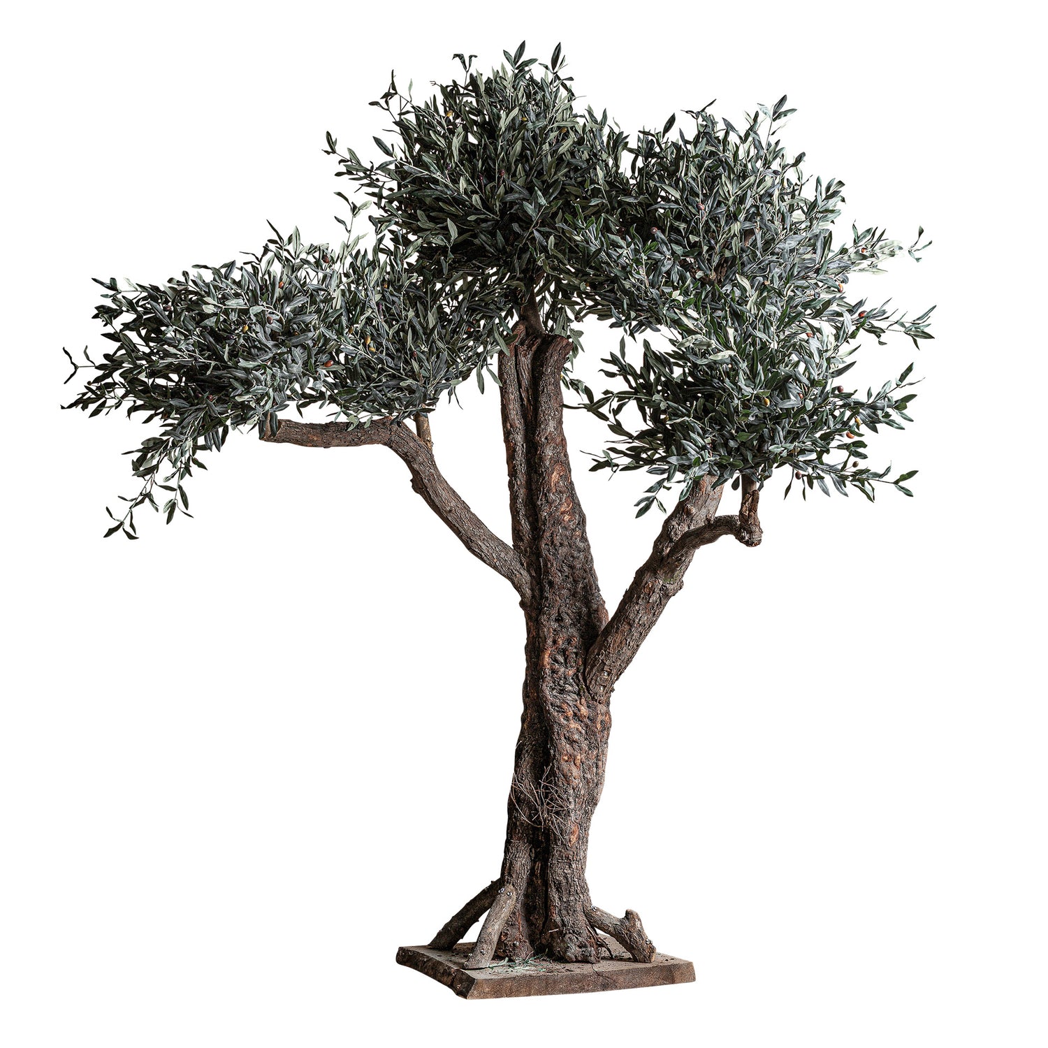 Olivo Plant 120x120x240 cm