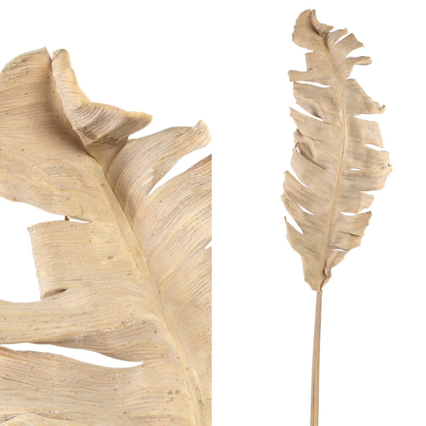 Dried Leaves Bruine Vogelnestvaren Spray – Set van 6 Stuks - 6 Sets 117x66x26 cm