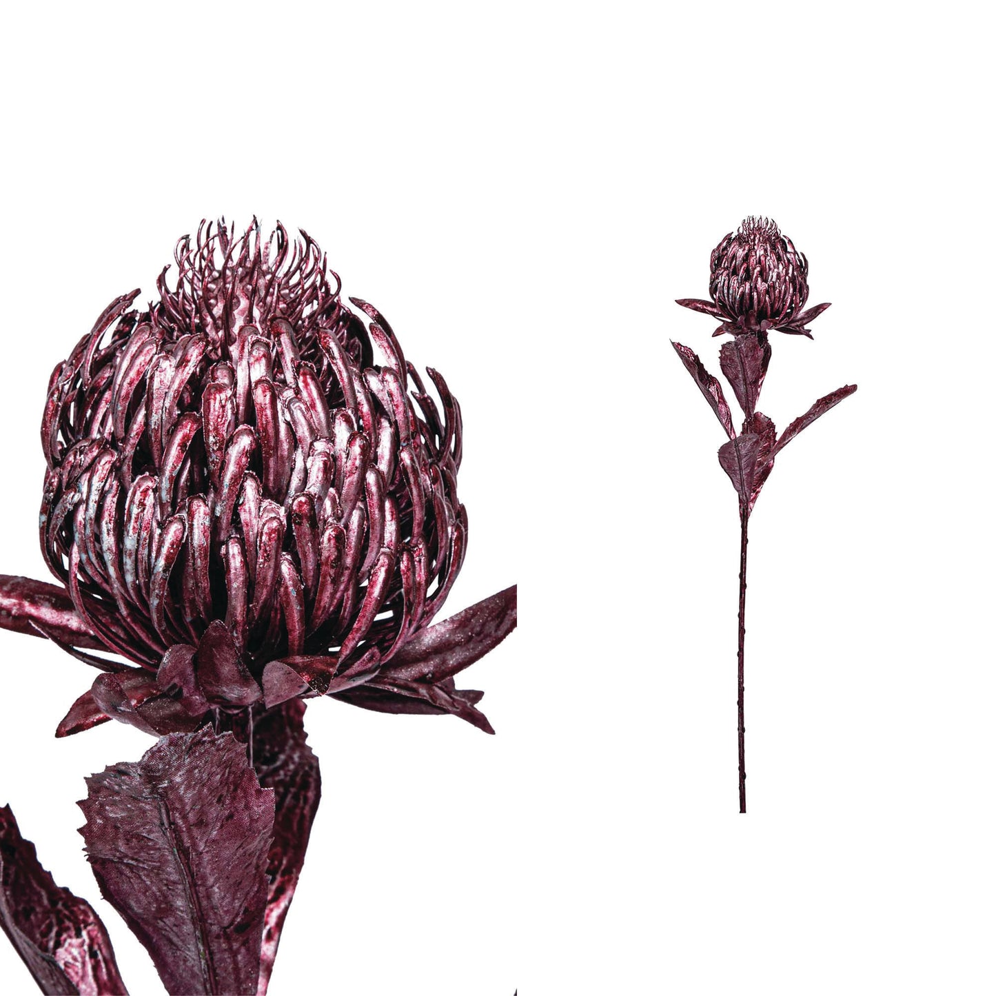 Leaves Plant Metallic Pink Protea Stem - Set van 12 65x10x30 cm