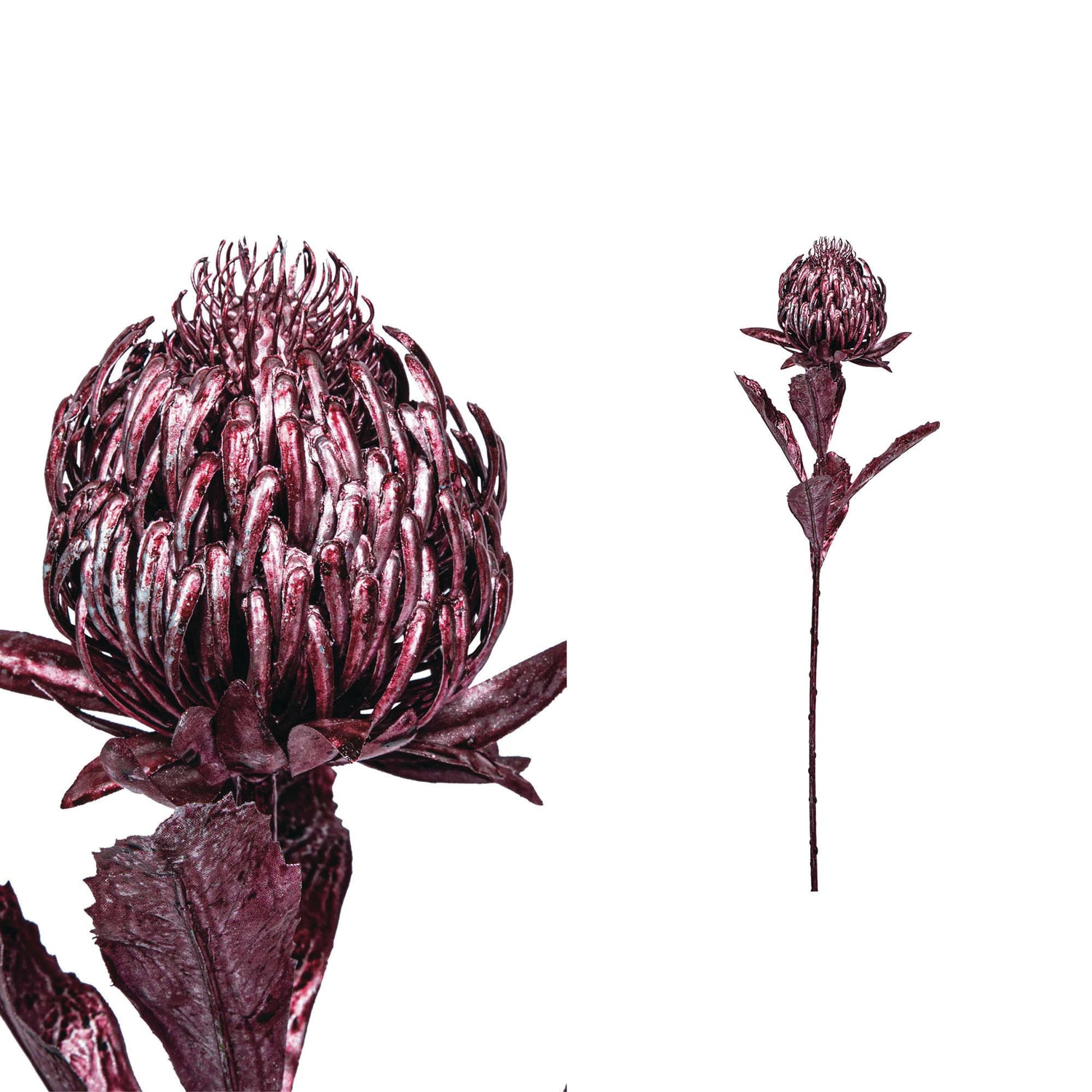 Leaves Plant Metallic Pink Protea Stem - Set van 12 65x10x30 cm