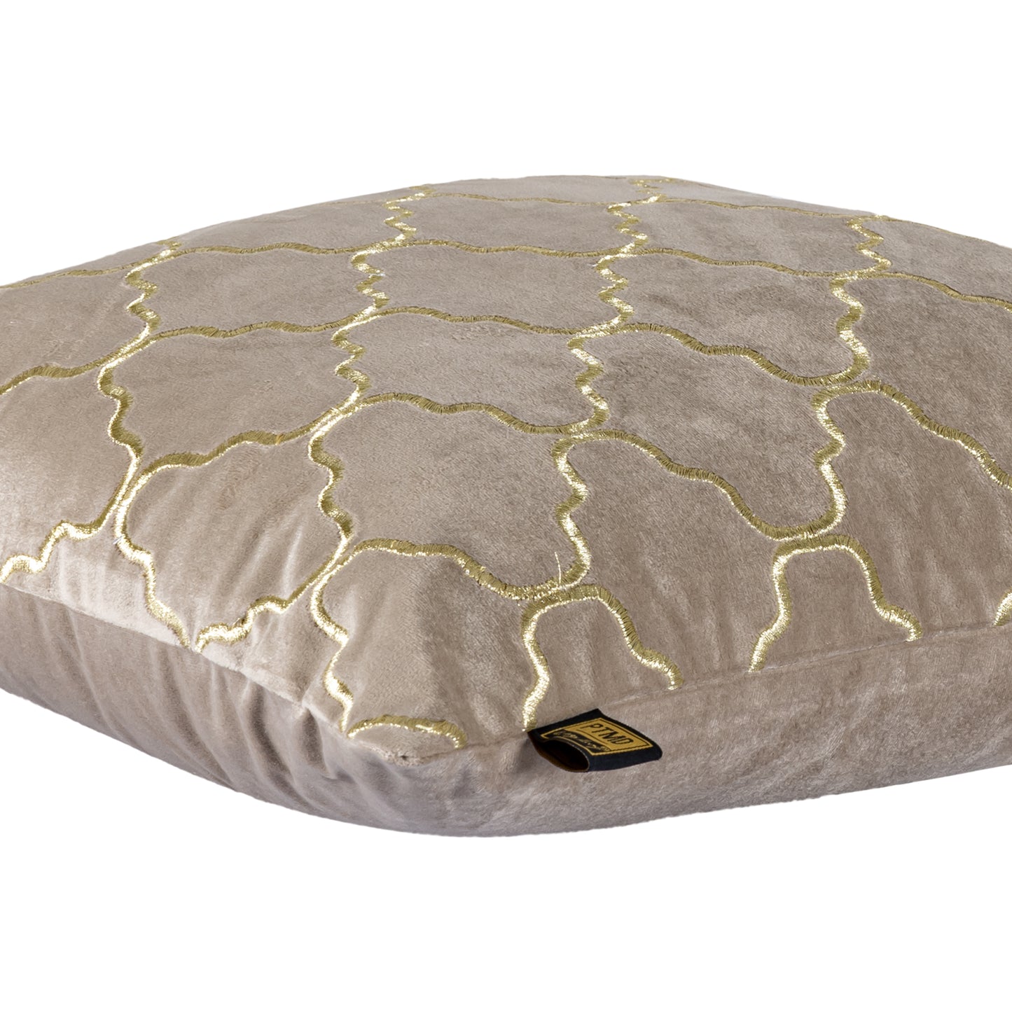 Lizze Beige Fluwelen Kussen Borduurwerk Vierkant Set van 2 - 2 Sets 45x45x3 cm