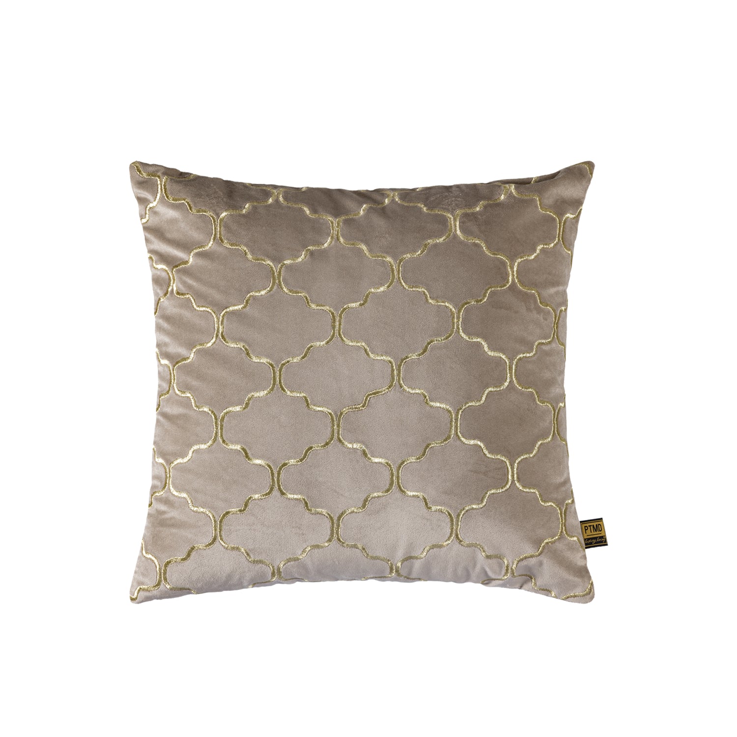 Lizze Beige Fluwelen Kussen Borduurwerk Vierkant Set van 2 - 2 Sets 45x45x3 cm