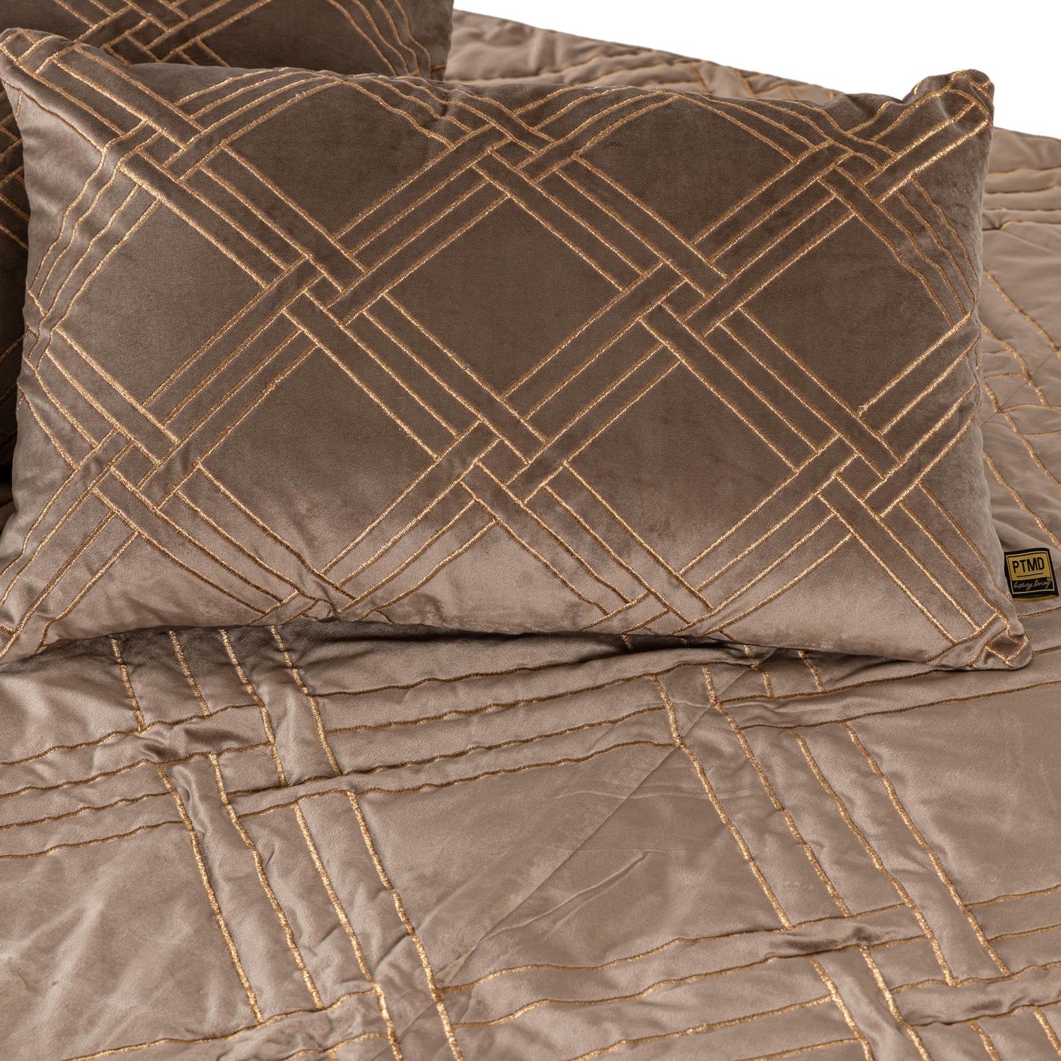 Cerine Brown Fluwelen Kussen Geborduurde Vierkant Set van 2 45x45x3 cm