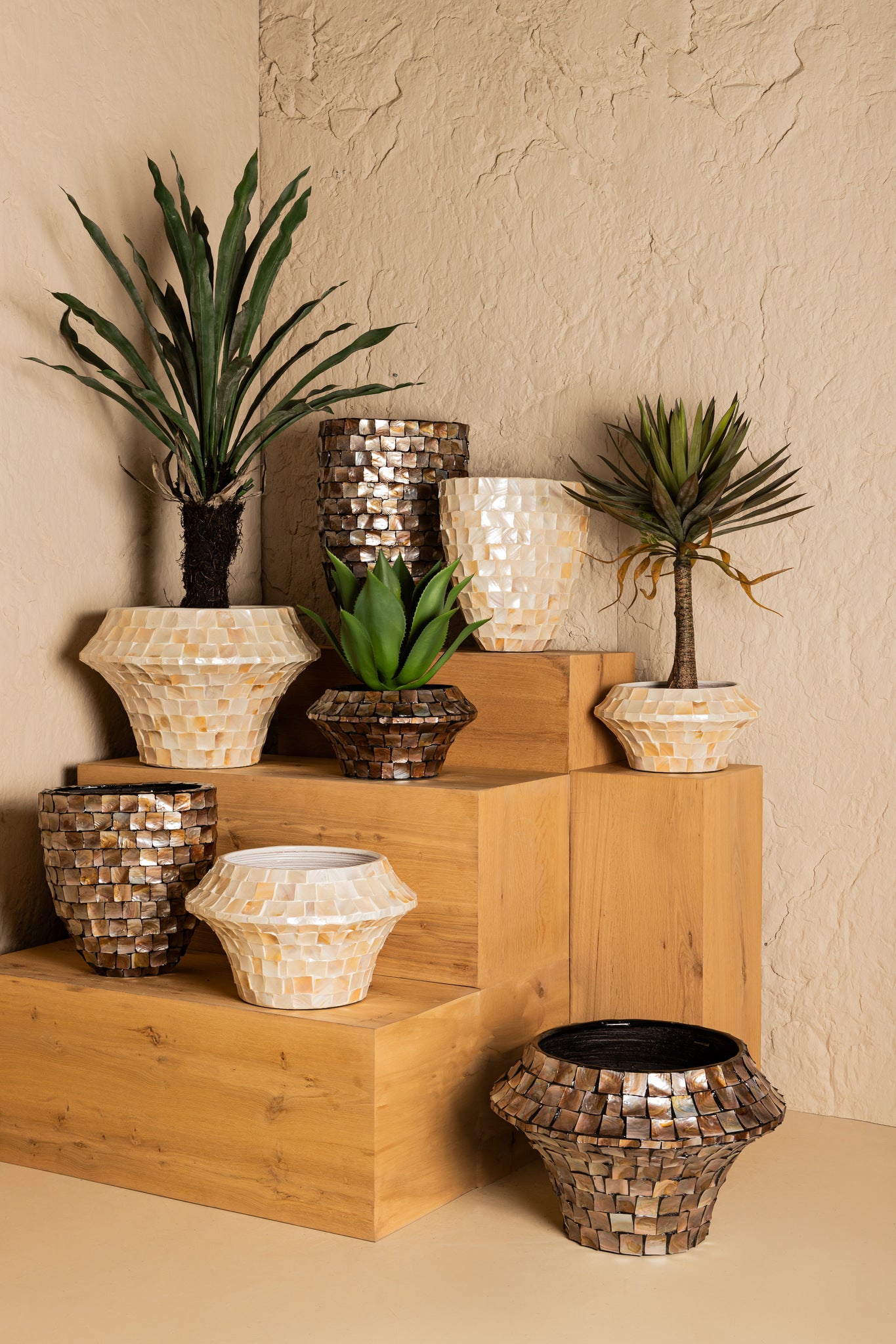 Daven Cream Poly Shell Bamboo Pot Round Low M