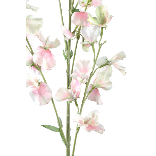 Garden Flower Roomkleurige Zoete Erwt Stengel Set van 6 Stuks - 6 Sets 122x65x29 cm
