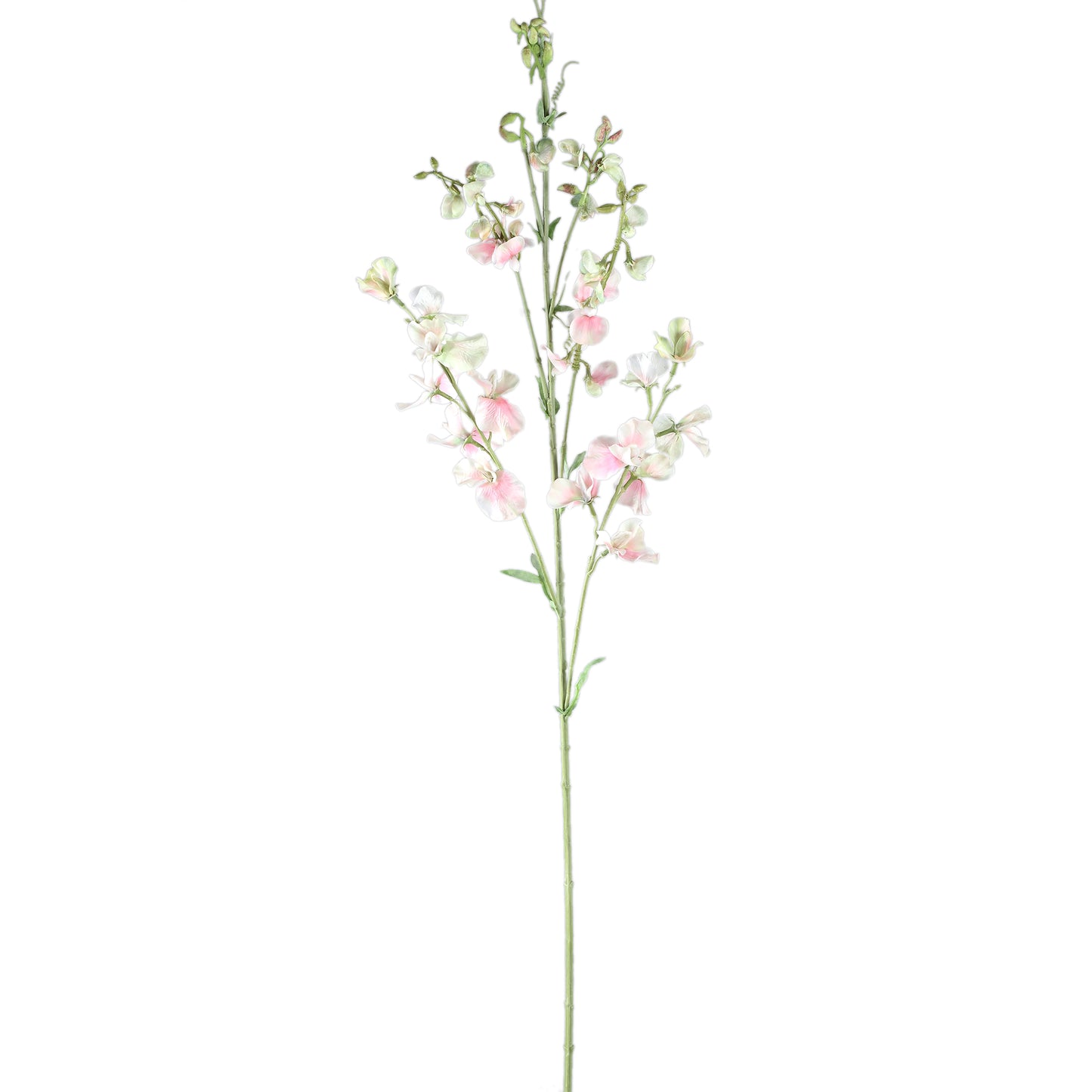 Garden Flower Roomkleurige Zoete Erwt Stengel Set van 6 Stuks - 6 Sets 122x65x29 cm