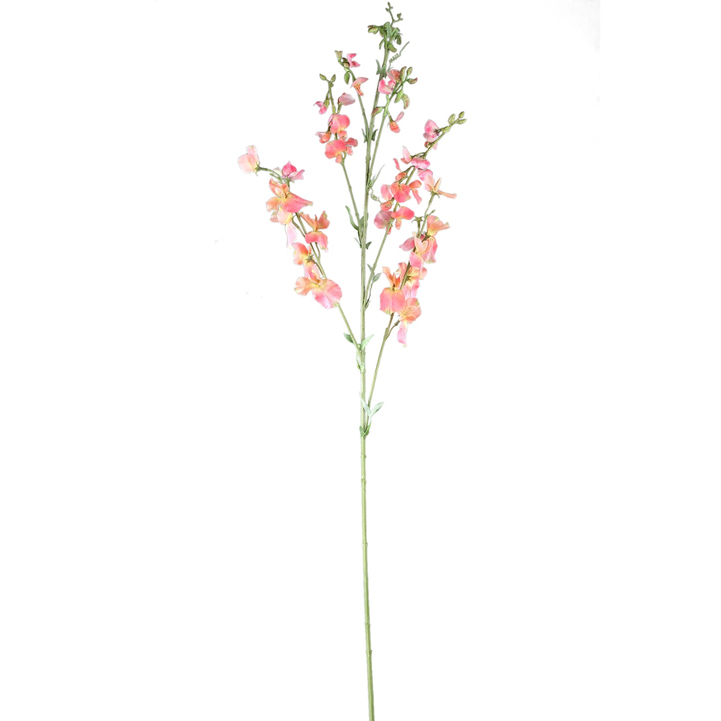Garden Flower Roze Oranje Lathyrus Tak - Set van 6 122x65x29 cm