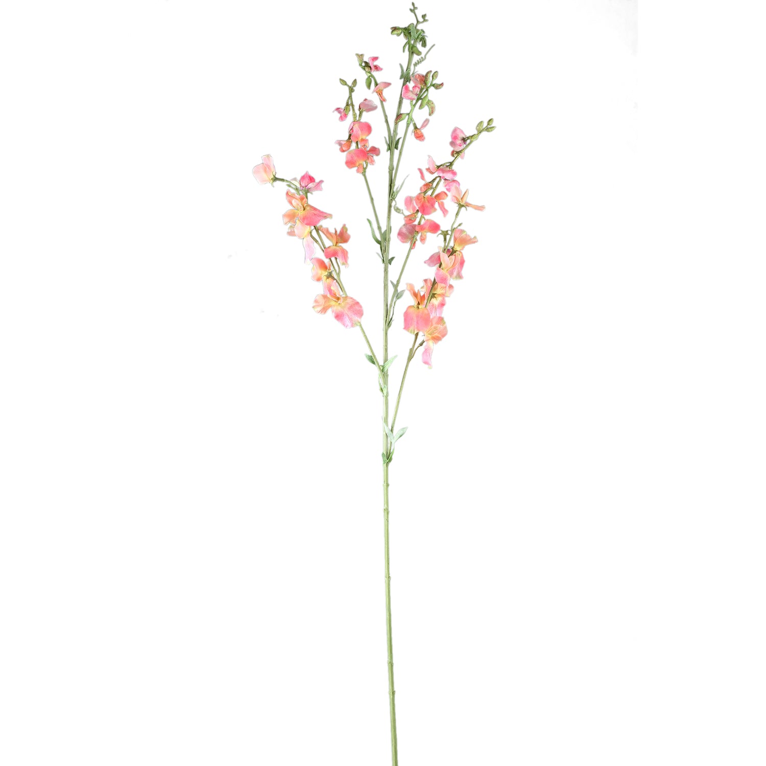 Garden Flower Roze Oranje Lathyrus Tak - Set van 6 122x65x29 cm