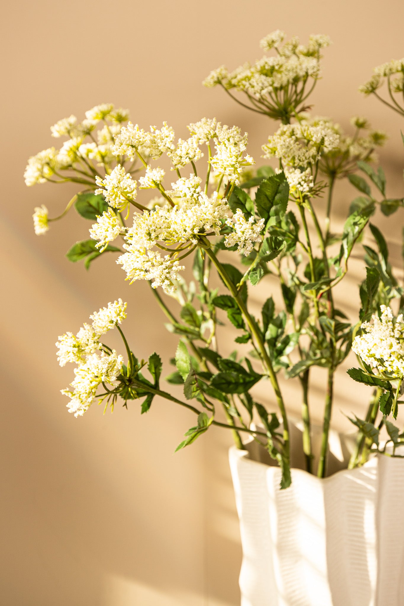 Garden Flower Witte Ammi Majus Spray - Set van 12 74x33x22 cm