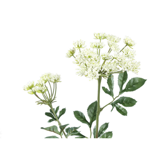 Garden Flower Witte Ammi Majus Spray - Set van 12 74x33x22 cm