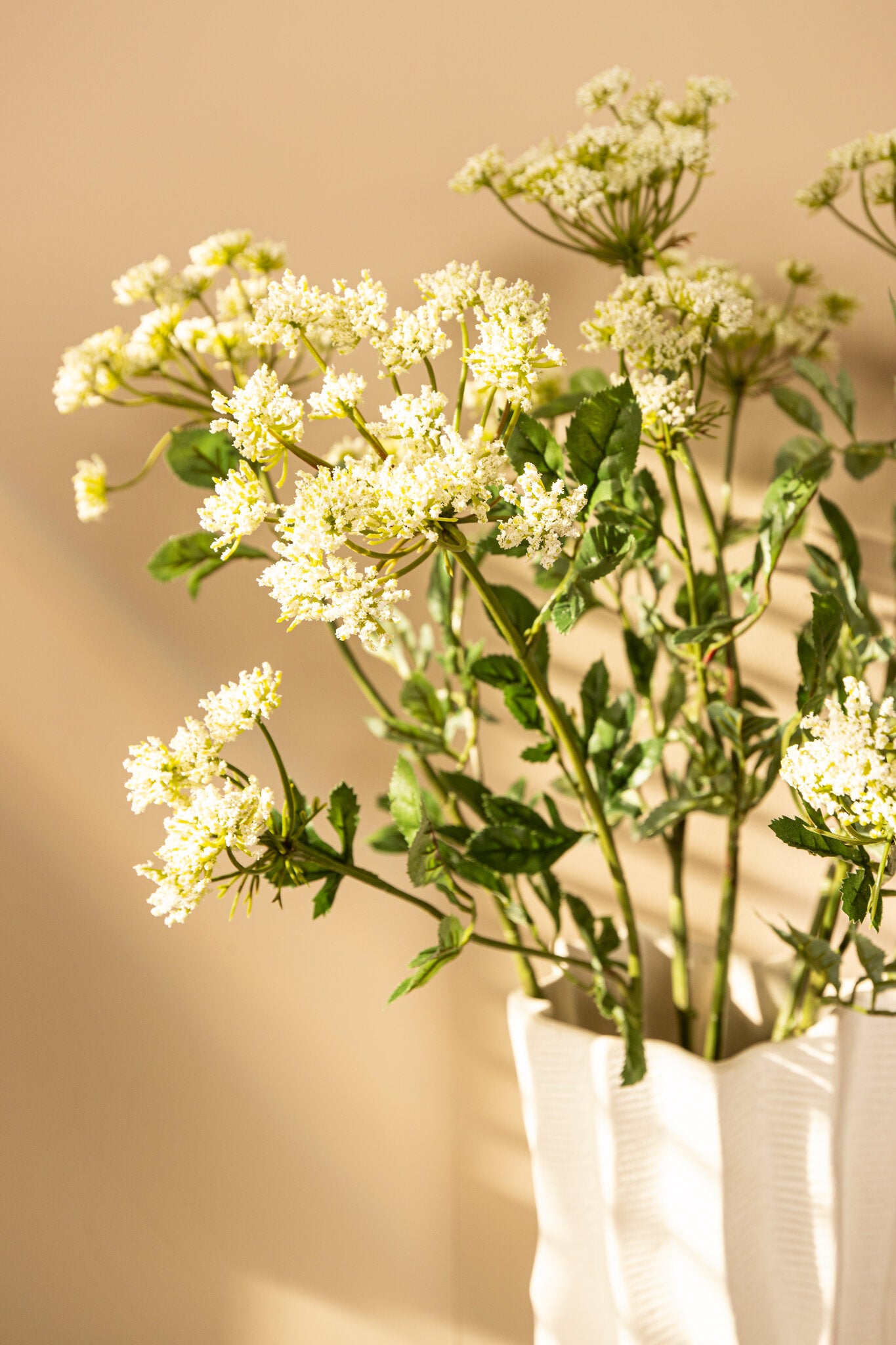 Garden Flower Witte Ammi Majus Spray - Set van 12 74x33x22 cm