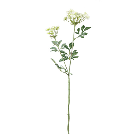 Garden Flower Witte Ammi Majus Spray - Set van 12 74x33x22 cm