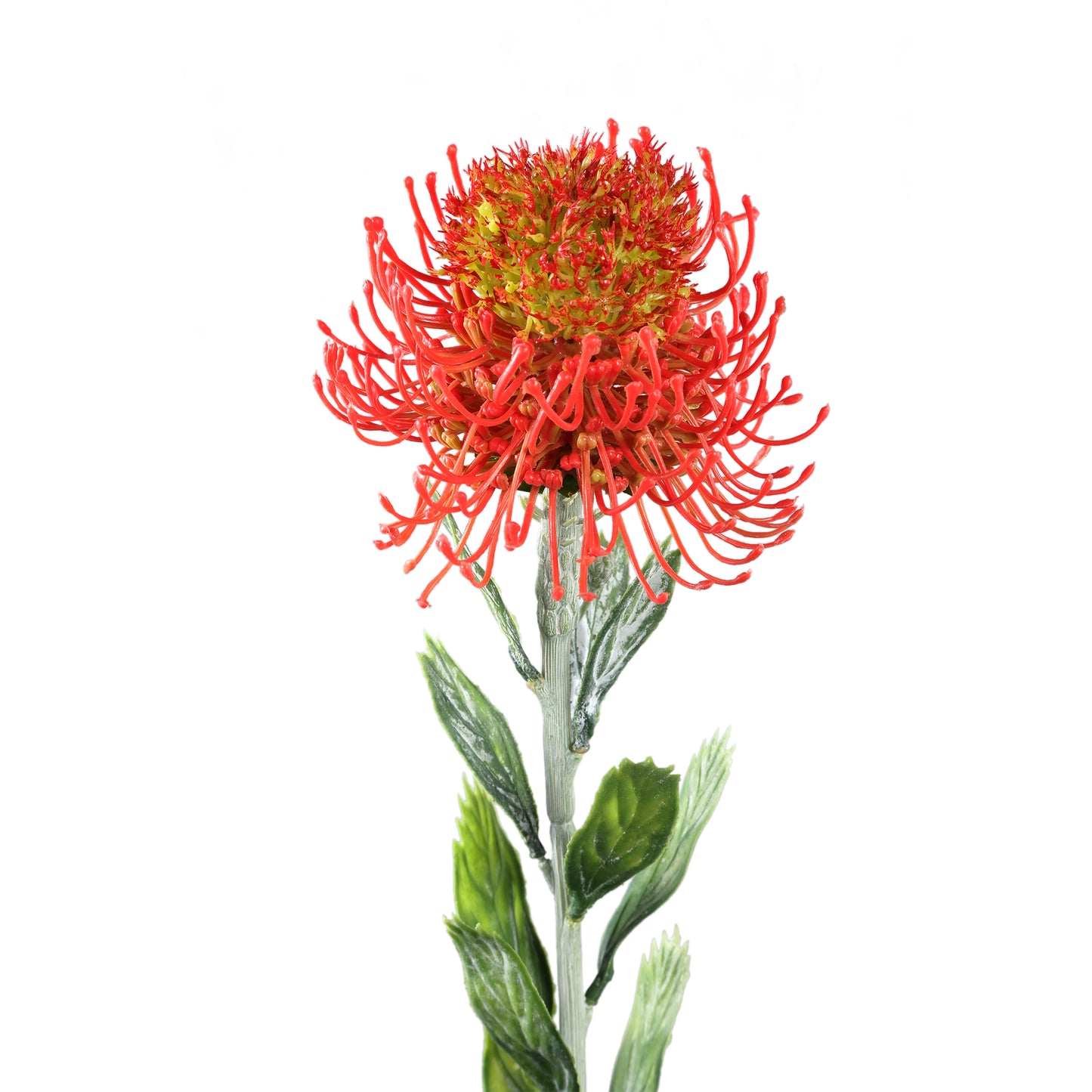 Garden Flower Nutan Oranje Twijg Plant - Set van 12 60x11x11 cm
