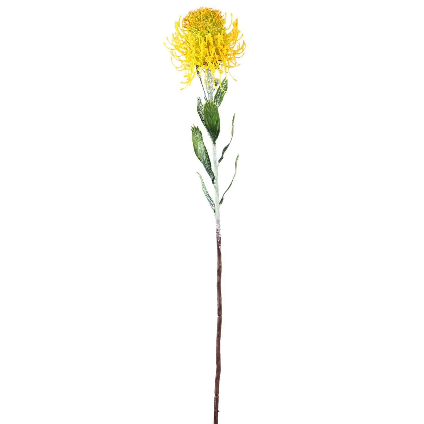 Garden Flower Nutan Geel Twig Plant - Set van 12 60x11x11 cm