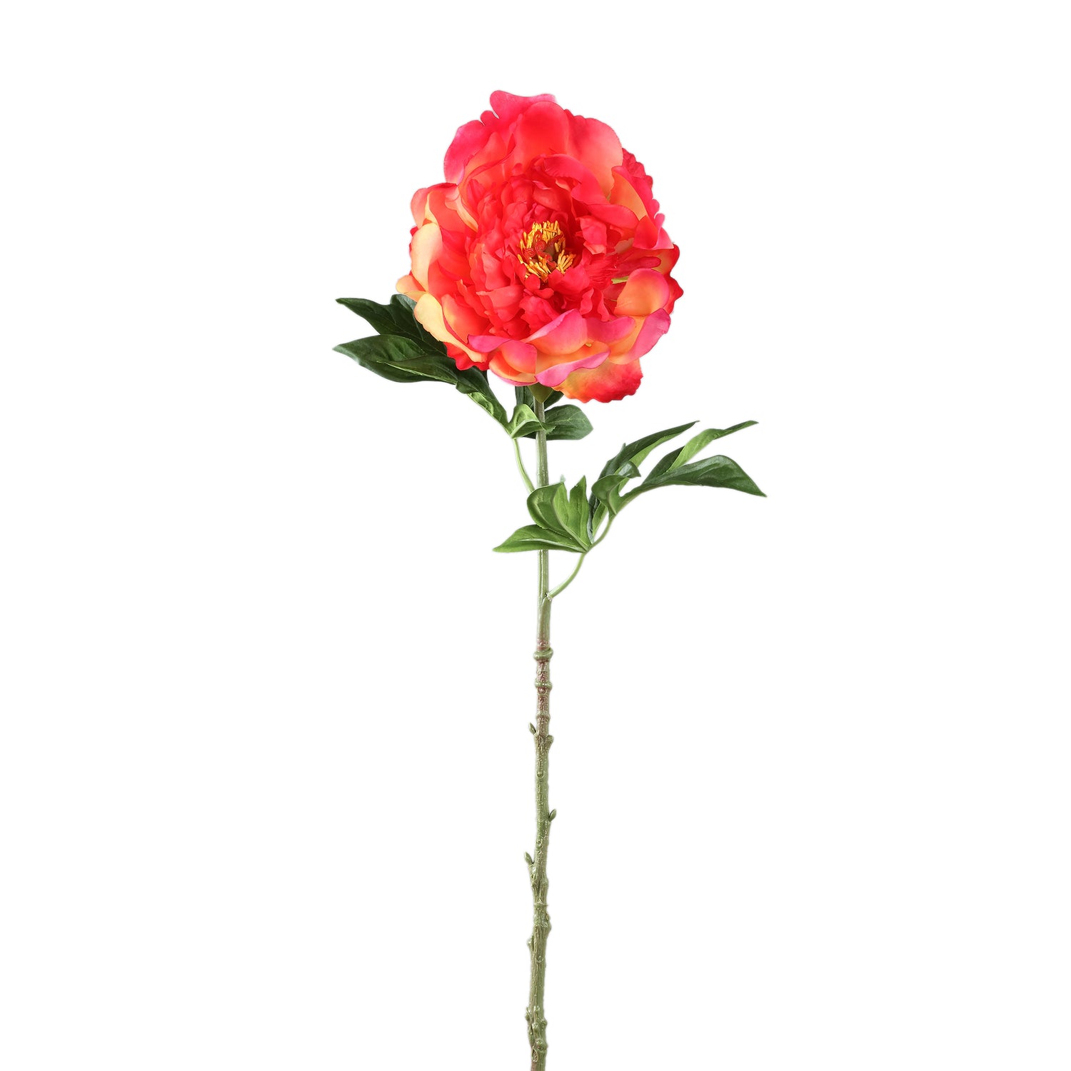 Peony Flower Roze Pioenroos Spray - Set van 12 62x14x17 cm