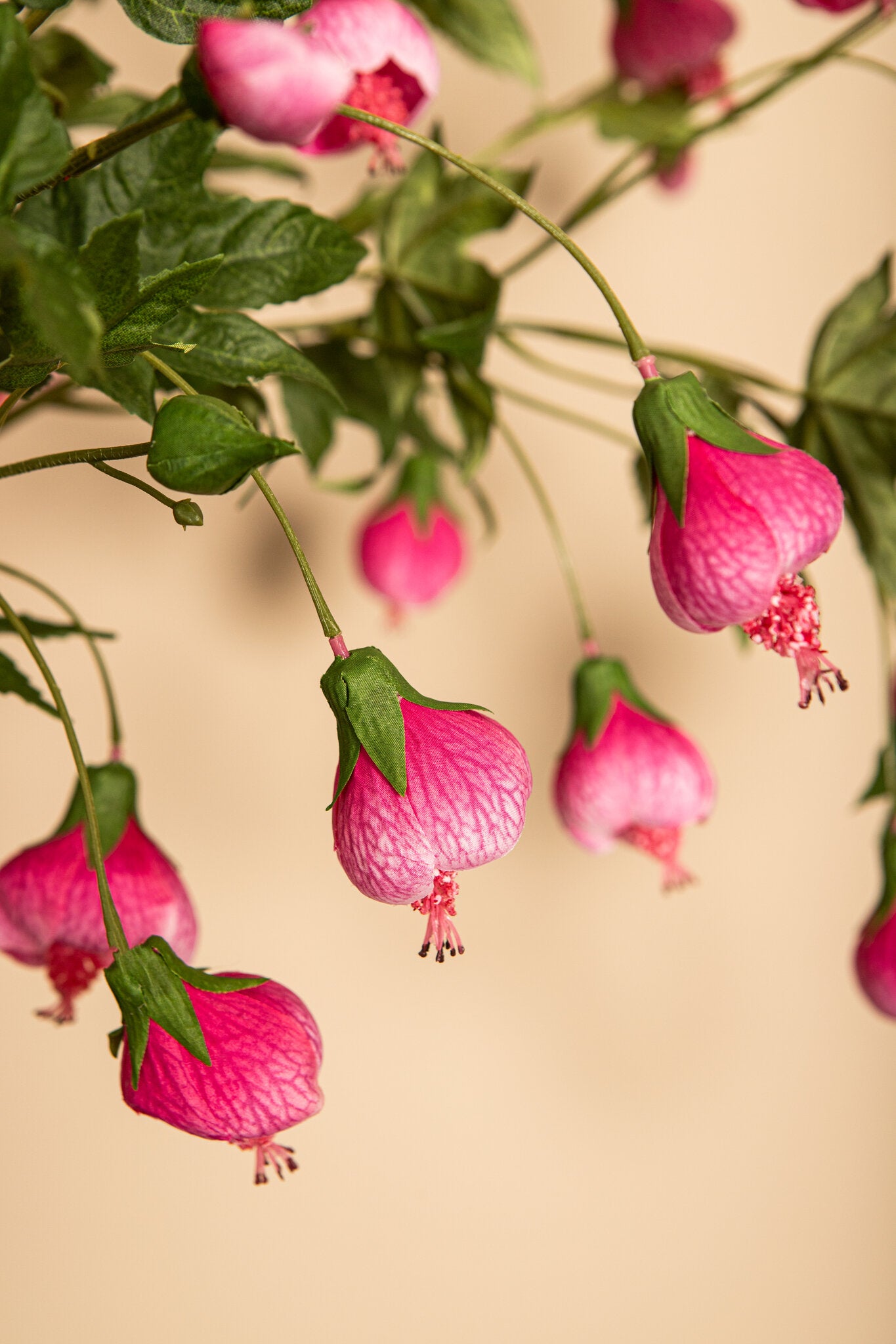 Garden Flower Roze Gestreepte Abutilon Spray Set van 12 Stuks 103x37x16 cm