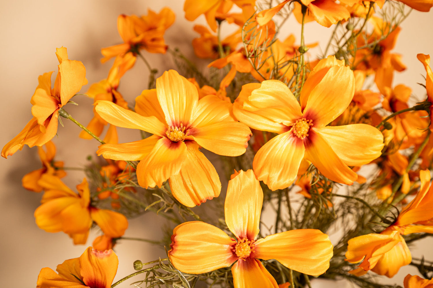 Garden Flower Oranje Cosmos Spray - Set van 12 75x32x21 cm