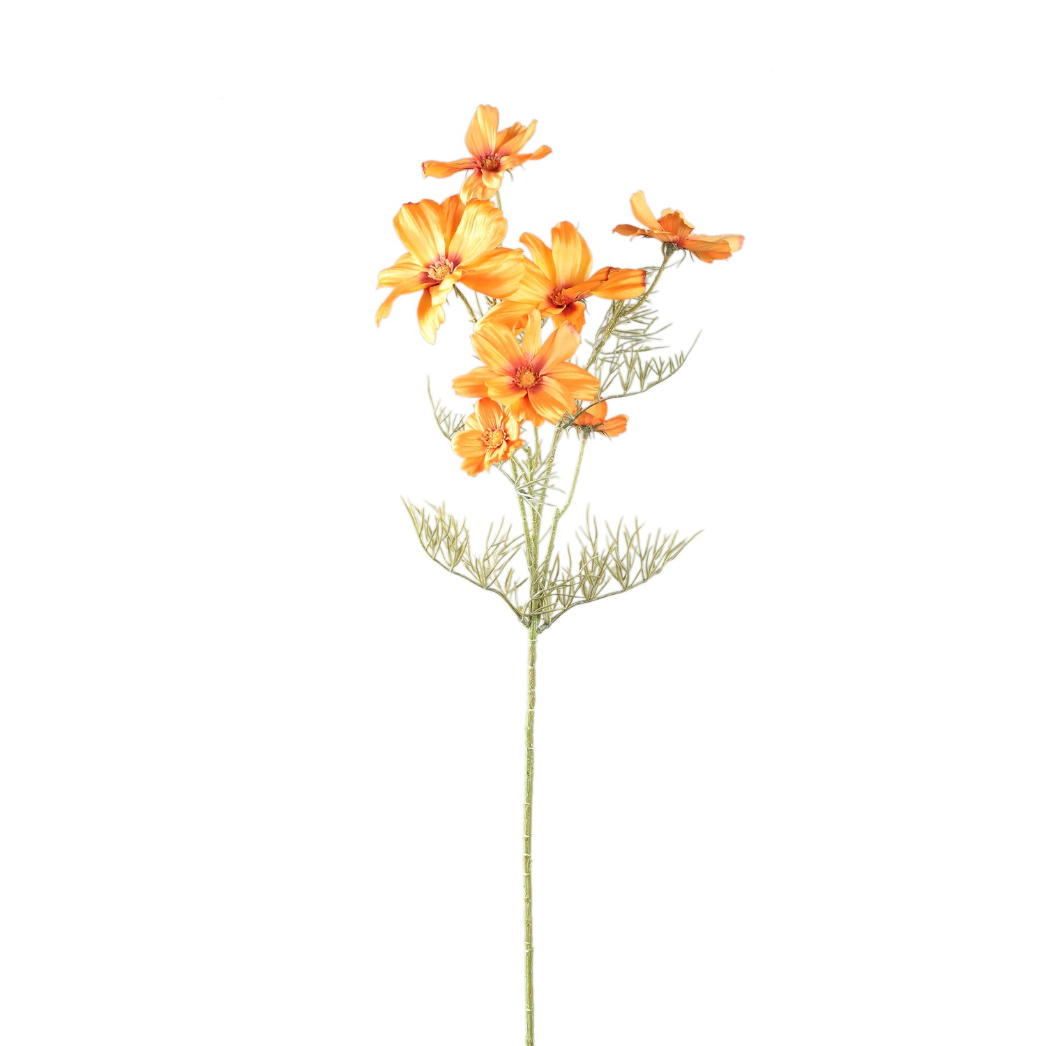 Garden Flower Oranje Cosmos Spray - Set van 12 75x32x21 cm