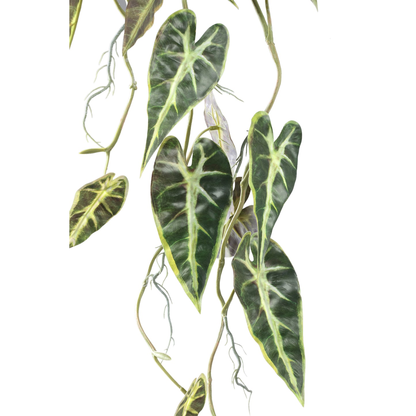 Leaves Plant Groene Begonia Blad Hangend Struikje - Set van 6 80x78x32 cm