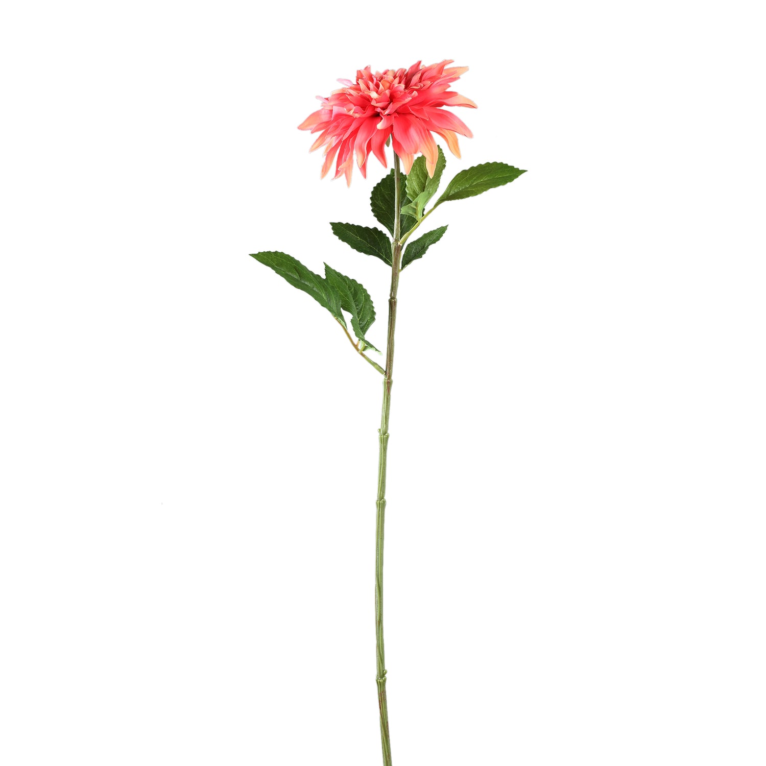 Dahlia Flower Roze Spray Met Bladeren - Set van 12 70x28x19 cm