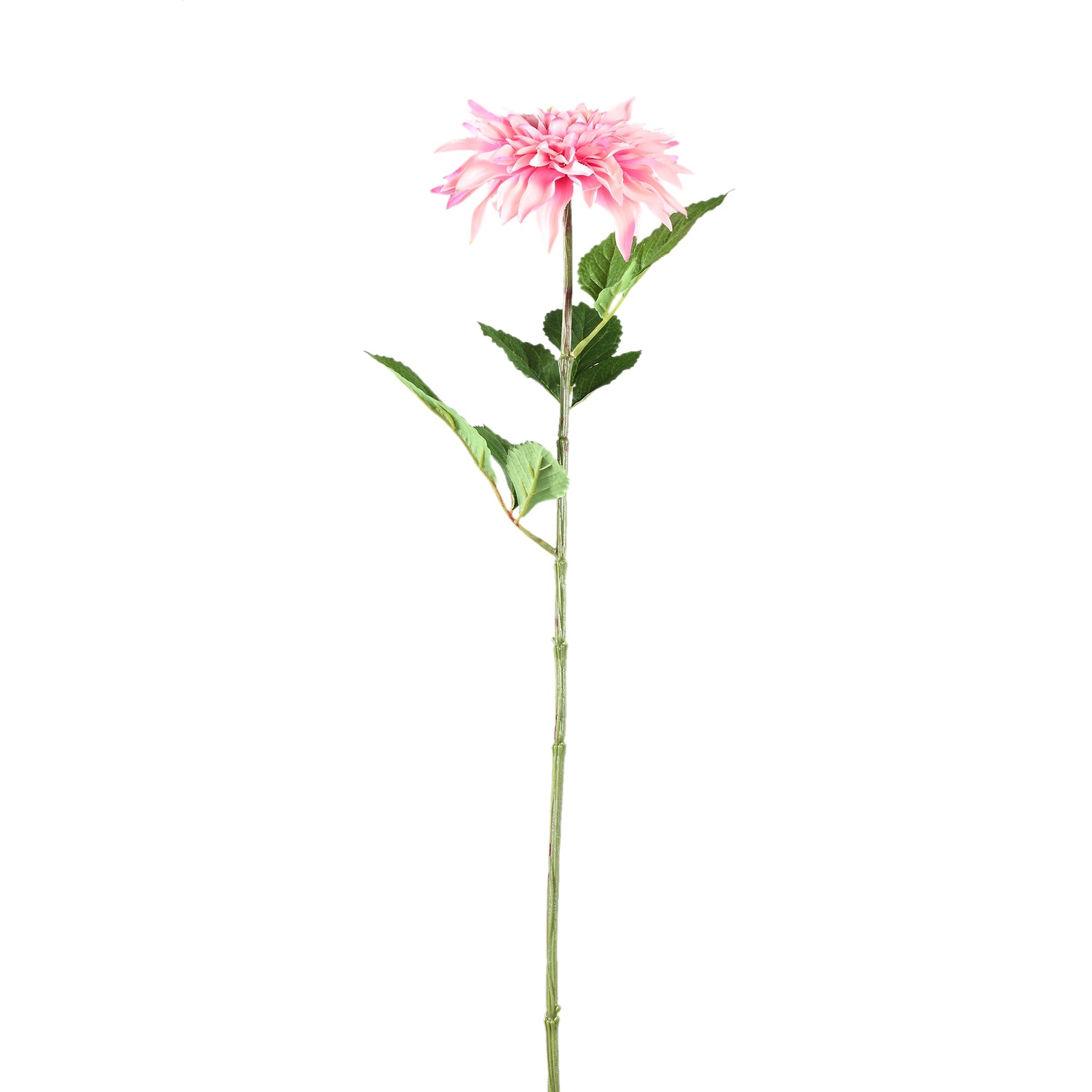 Dahlia Flower Lichtroze Spray Met Bladeren - Set van 12 70x28x19 cm