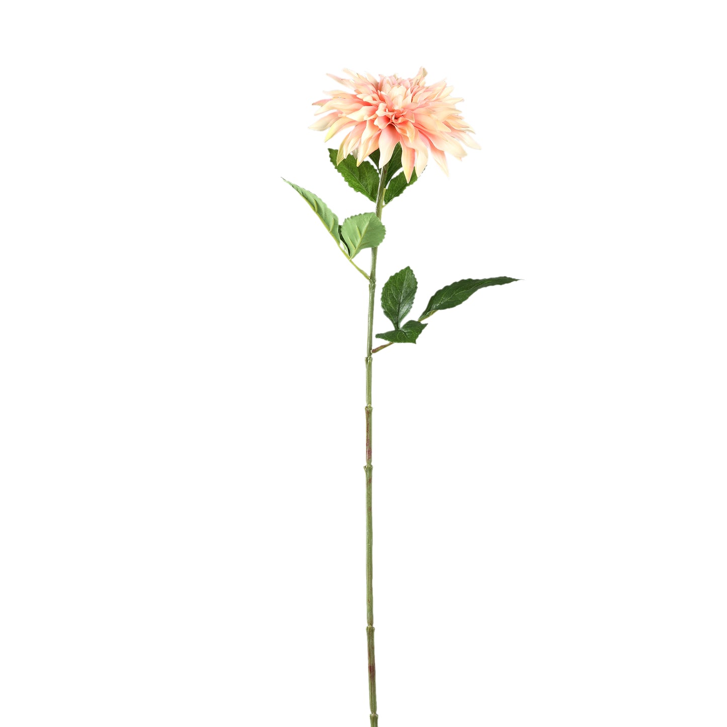 Dahlia Bloem Crème Spray Met Bladeren - Set van 12 70x28x19 cm
