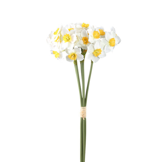 Garden Flower Witte Narcis Set Van 12 Stuks - 12 Sets 41x10x20 cm