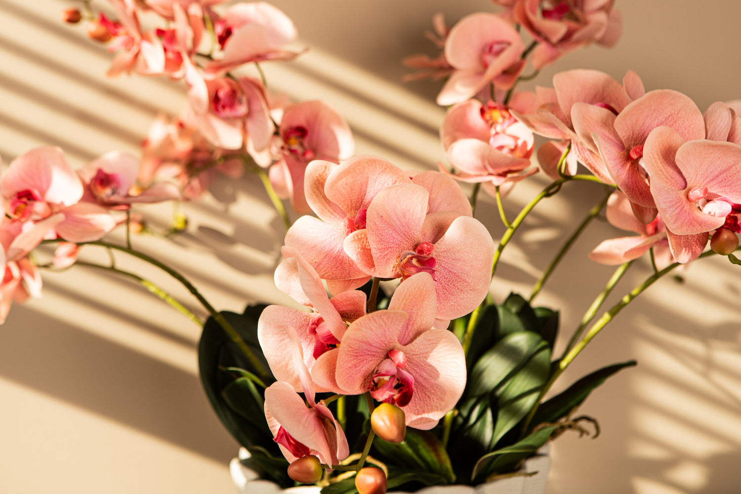 Orchid Flower Roze Phalaenopsis Spray Set van 6 Stuks 72x33x14 cm