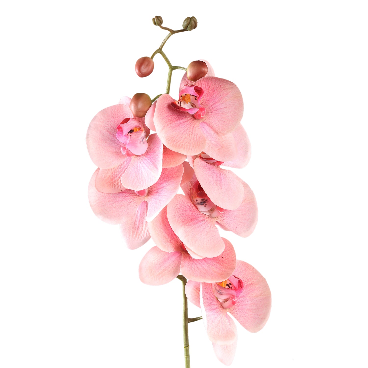 Orchid Flower Roze Phalaenopsis Spray Set van 6 Stuks - 6 Sets 72x33x14 cm