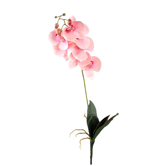 Orchid Flower Roze Phalaenopsis Spray Set van 6 Stuks - 6 Sets 72x33x14 cm