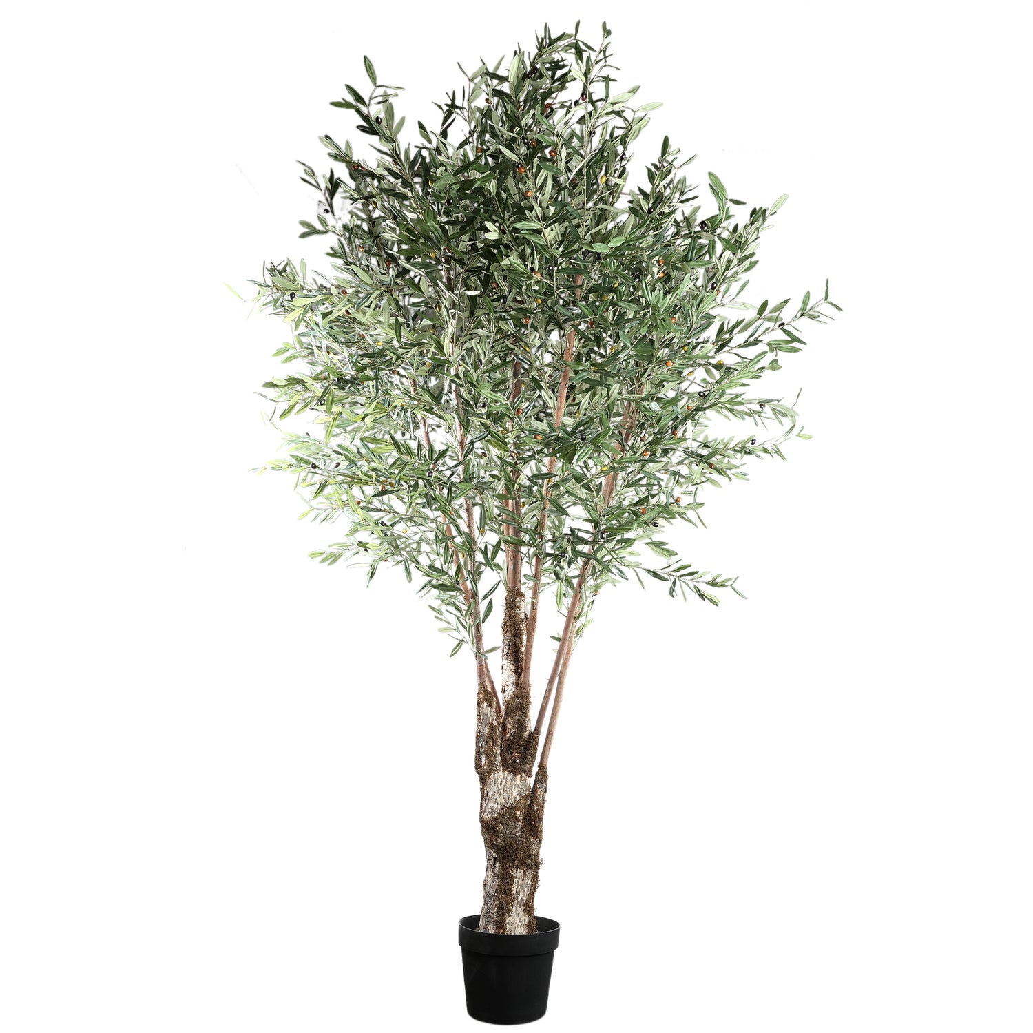 Tree Groene Olijfboom In Kunststof Pot 265x140x140 cm