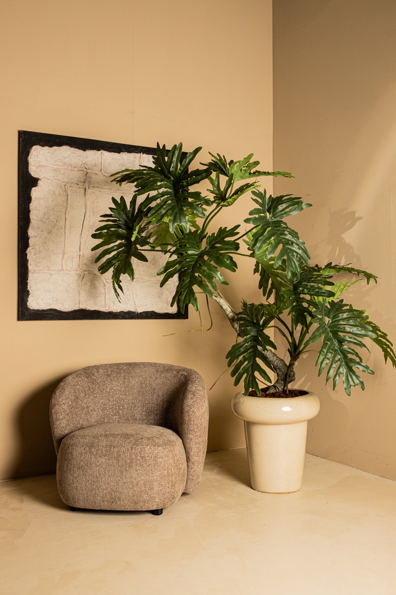 Tree Groen Philodendron Selloum In Zwarte Pot 170x170x120 cm