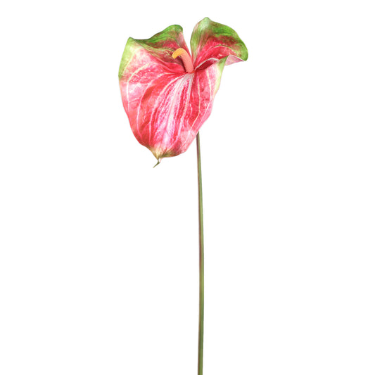 Garden Flower Rode Groene Anthurium Set Van 12 Stuks - 12 Sets 85x33x23 cm