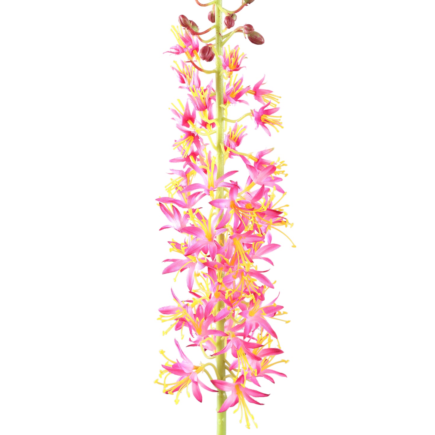 Twig Plant Roze Groen Eremurus Spray Set van 6 Stuks - 6 Sets 104x44x8 cm