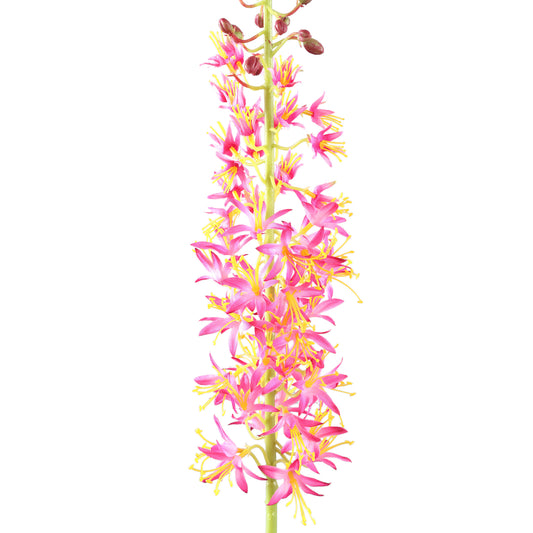 Twig Plant Roze Groen Eremurus Spray Set van 6 Stuks - 6 Sets 104x44x8 cm