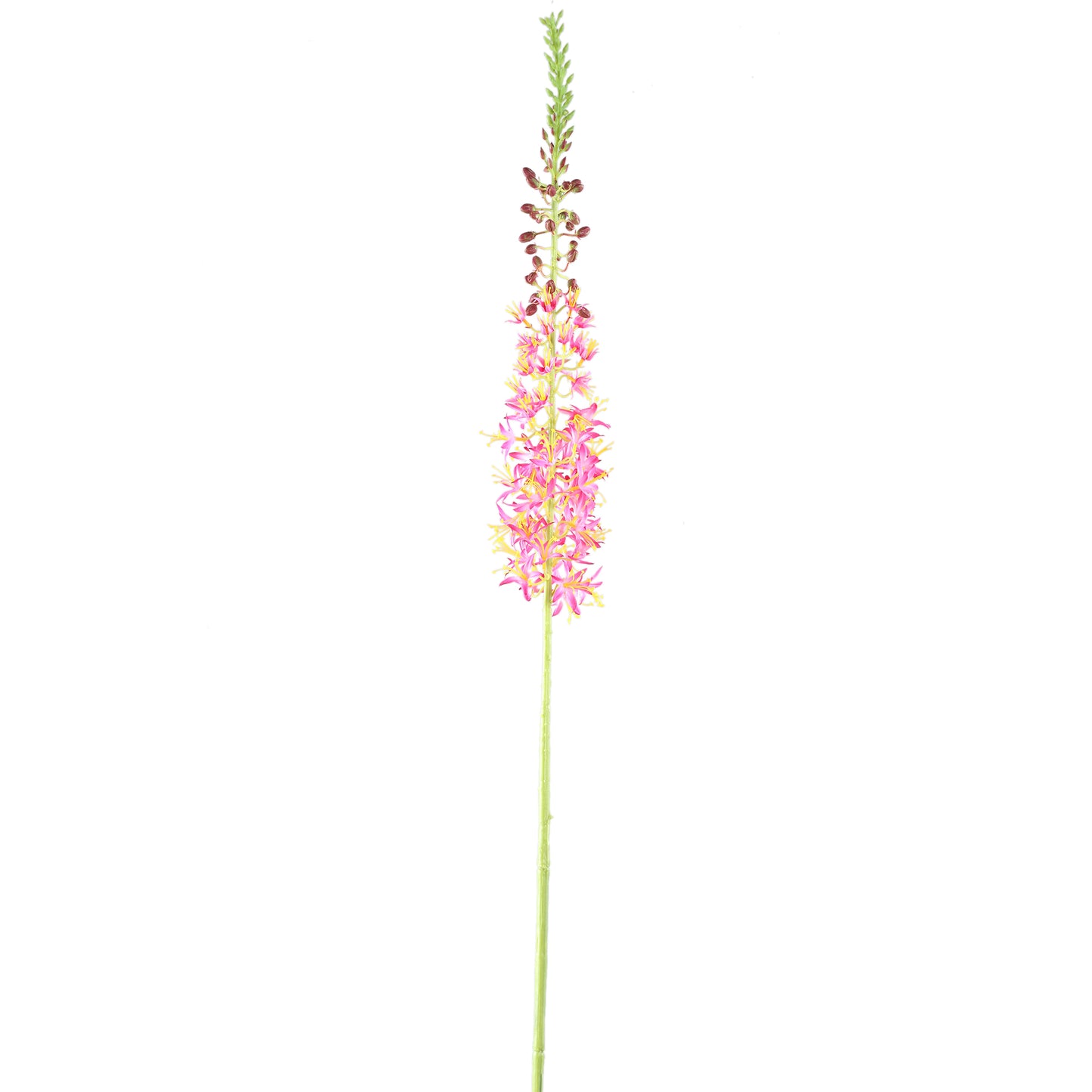 Twig Plant Roze Groen Eremurus Spray Set van 6 Stuks - 6 Sets 104x44x8 cm