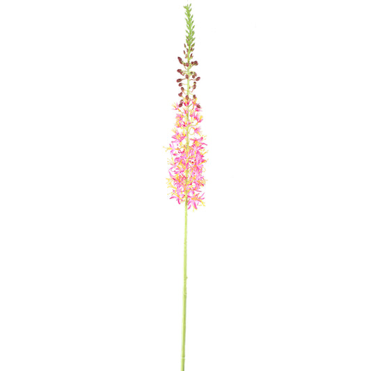 Twig Plant Roze Groen Eremurus Spray Set van 6 Stuks - 6 Sets 104x44x8 cm