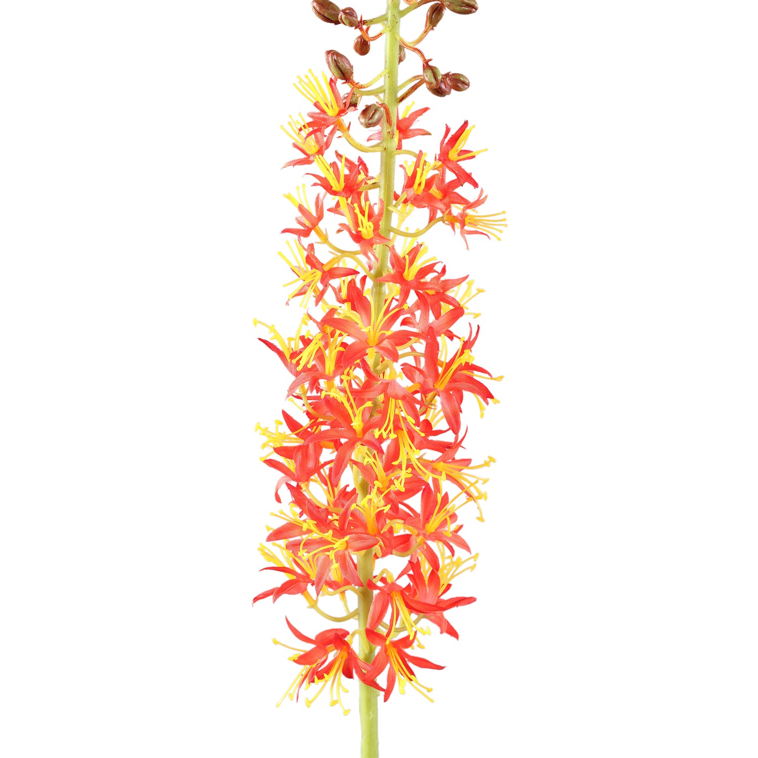 Twig Plant Oranje Groen Eremurus Spray Set van 6 Stuks - 6 Sets 104x44x8 cm