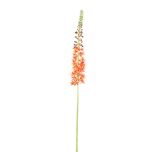 Twig Plant Oranje Groen Eremurus Spray Set van 6 Stuks - 6 Sets 104x44x8 cm