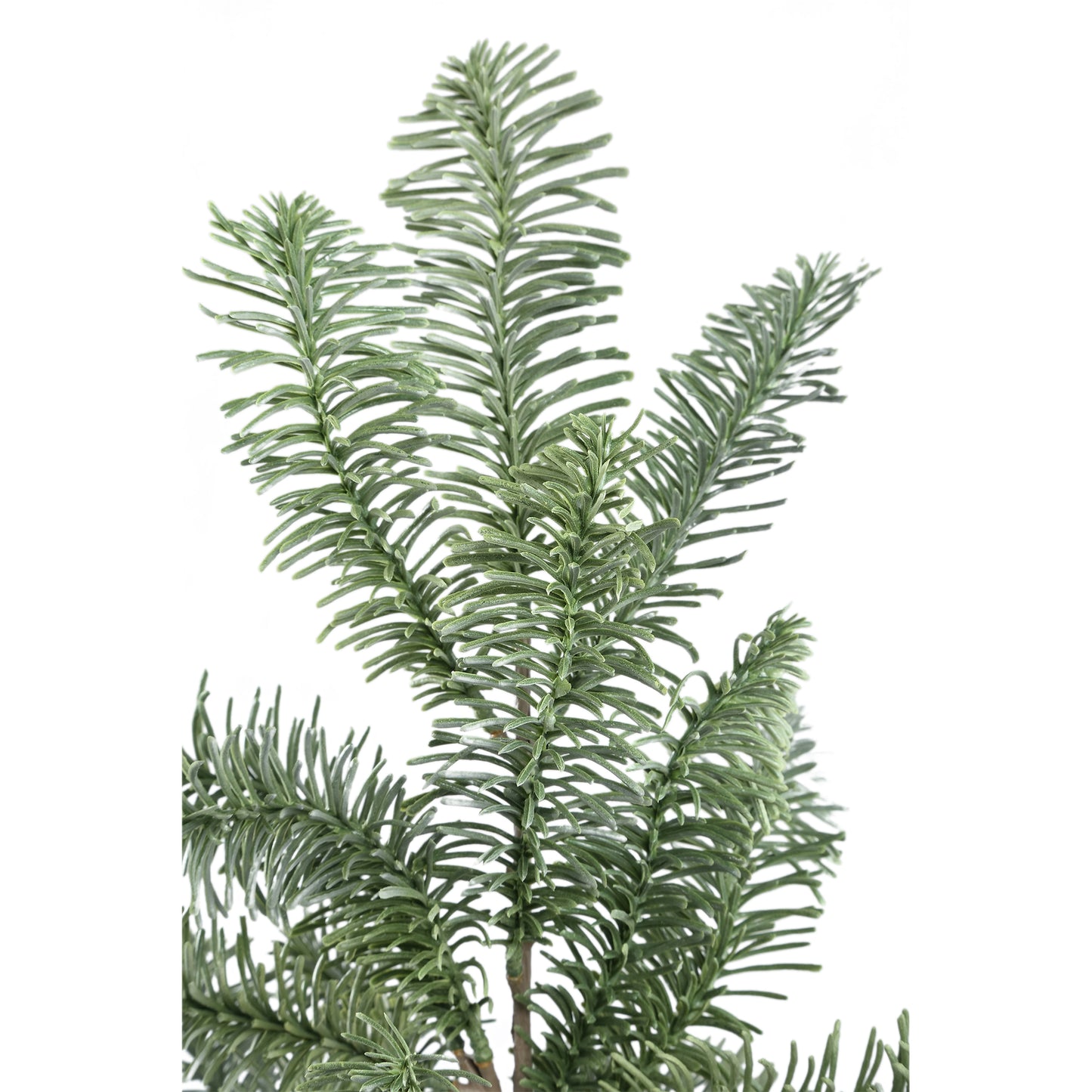 Twig Plant Groene Edele Dennen Spray Set van 6 Stuks - 6 Sets 65x42x35 cm